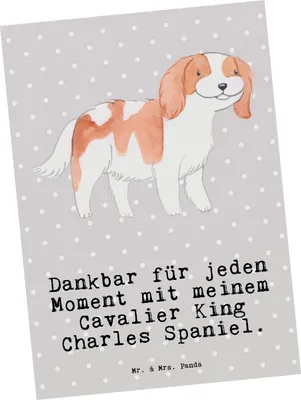 Produktbild von Mr. & Mrs. Panda Postkarte Cavalier King Charles Spaniel Moment - Grau Pastell - Geschenk, Fotokarte, Grußkarte, Postkarten, Ansichtskarten, Ansichtskarte