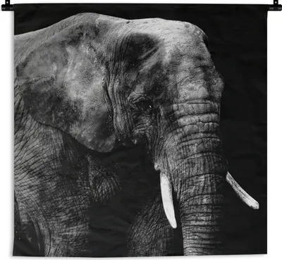 Produktbild von MuchoWow® Wandteppich Wandbehang Elefant - Zähne - Schwarz - Weiß 150x150 cm Tapisserie Dekoration Wandtuch - Wohnaccessoires - Modernes