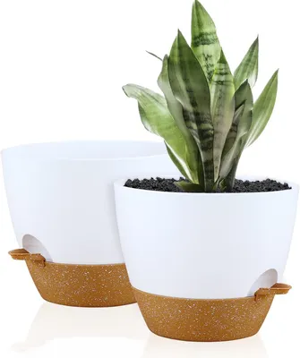 Produktbild von Selbstbewässernde Pflanzgefäße für den Innenbereich – 25 cm – 2 Stück große Kunststoff-Pflanzgefäße mit großem Wasserreservoir und hoher Qualität
