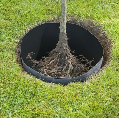 Produktbild von Windhager Wurzelsperr-Vlies 0,65 x 3,5 m