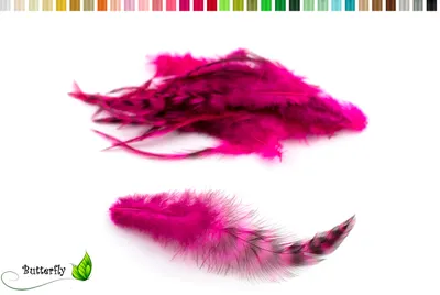 Produktbild von 20 Hahnenfedern CHINCHILLA ca. 8-13cm, Farbauswahl:fuchsia / magenta 183D