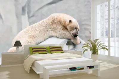 Produktbild von Vlies Fototapete SCHLAFENDER EISBÄR 375 x 250 cm (inkl. Kleister) - Vlies Tapete, Wandtapete, Wandbilder - Tapete für Wohnzimmer Schlafzimmer, Büro, Küche - Montagefertig