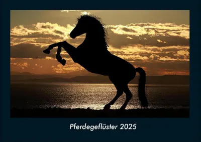 Produktbild von Pferdegeflüster 2025 Fotokalender DIN A4