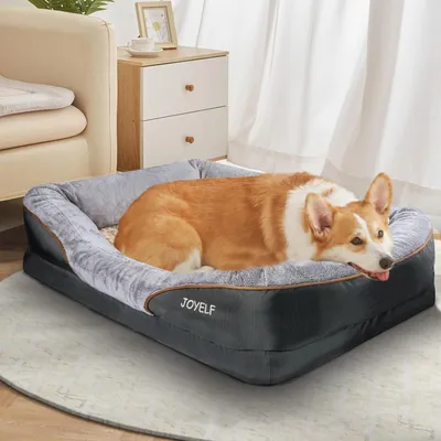 Image de Lit pour chien - Coussin pour chien - Tapis pour chien - Lit pour animaux - XXL - Mousse à mémoire de forme orthopédique - Housse amovible et lavable