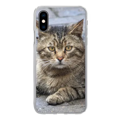Produktbild von MuchoWow® Handyhülle Schutzhülle Hülle für iPhone X Katze - Tier - Braun - Mädchen - Kinder - Jungen - Kind Silikon Softcase Handy Hülle - Handyhülle