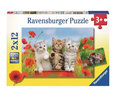 Produktbild von Katzen auf Entdeckungsreise Ravensburger 07626