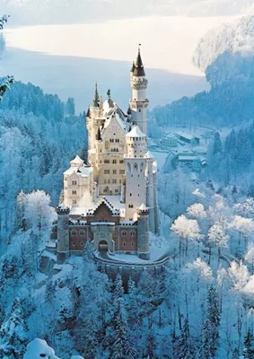 Image de RAVENSBURGER Puzzle Château de Neuschwanstein en hiver 1500 pièces