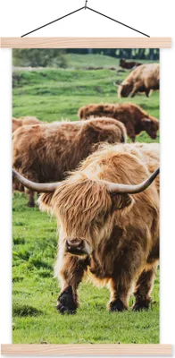 Produktbild von MuchoWow® Textilposter Schottische Hochlandrind - Tiere - Gras 40x80 cm mit holzfarbenen Rahmen - Wohnzimmer