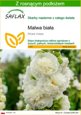 Zdjęcie produktu dla SAFLAX - Malwa biała - 100 Nasiona - Z podłożem uprawowym wolnym od zarazków - Alcea rosea