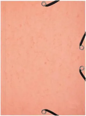 Produktbild von Exacompta 10x Karteikarten-Set Sammelmappe 3 Klappen Korallenrot 555667E