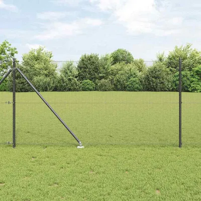Produktbild von Maison Exclusive - Schweißdrahtzaun mit Spikes 50 x 1 m PVC-beschichteter Stahl