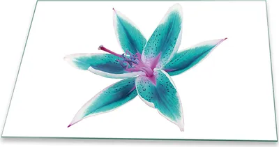 Produktbild von Herdabdeckplatte Glaskeramikfeld Spritzschutz Glas Universal Deko 80x52 Blumen Blau