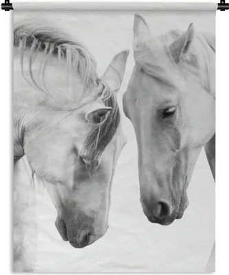 Produktbild von MuchoWow® Wandteppich Wandbehang Pferd - Tiere - Porträt - Weiß 150x200 cm Tapisserie Dekoration Wandtuch - Wandaufhängung - Moderner