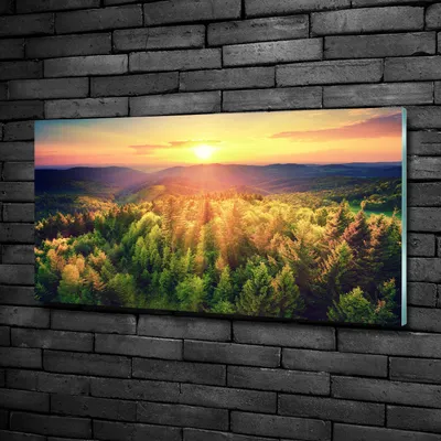 Produktbild von Tulup® Glas-Bild - 100x50 -Wandkunst - Wandbild hinter gehärtetem Sicherheitsglas  - Landschaften - Wald Sonnenuntergang - Gelb