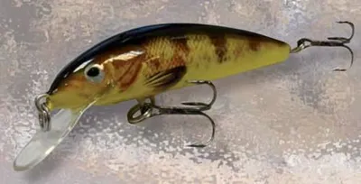 Produktbild von Evia Yokozuna Wobbler Willi 50mm 3,2g Farbe FK02