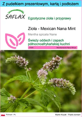 Zdjęcie produktu dla SAFLAX - Zestaw prezentowy - Zioła - Mexican Nana Mint - 500 Nasiona - Z pudełkiem upominkowym, etykietą wysyłkową, kartą podarunkową i podłożem uprawowym - Mentha spicata Nane