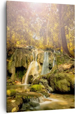 Produktbild von Bild auf Leinwand - Leinwandbild - Einteilig - Wald Wasserfall Natur Umwelt - 70x100cm - Wand Bild - Wanddeko - Wandbilder - Leinwanddruck - Wanddekoration - Leinwand bilder - Wandbild - PA70x100-2959