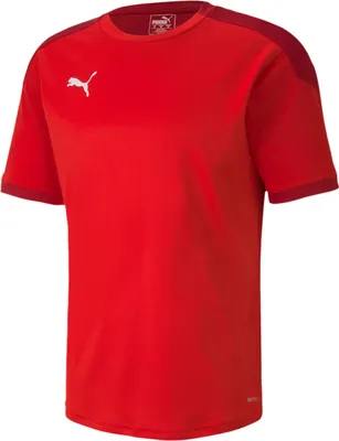Produktbild von Puma FINAL 21 Trainingstrikot Herren rot Gr XL