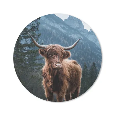 Produktbild von MuchoWow® Mauspad Mousepad Kuh - Schottischer Highlander - Natur 50x50 cm - Mousepads - Maus Mat - Pad - Mausunterlage - Vinyl