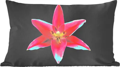 Produktbild von MuchoWow® Zierkissen Sofakissen Wohnzimmer Dekokissen 50x30 cm Blumen - Lilie - Rosa - Wohnzimmerdekoration - Polster mit Photo