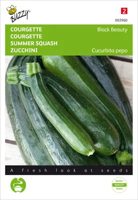 Produktbild von Zucchini Black Beauty | Zucchinisamen von Buzzy Seeds
