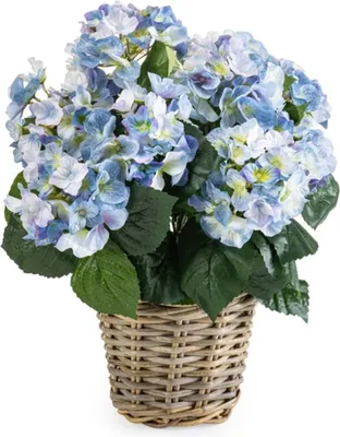 Produktbild von Emerald Künstliche Hortensie - Levi | 45 cm, für drinnen, Kunstblume, wie echt, Allergiker geeignet, pflanzliche Dekoration Praxis, Office & Wohnzimmer