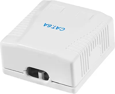 Image de LogiLink Professional NP0097 Prise de raccordement LogiLink Cat.6A avec boîtier en saillie, 2x RJ45, blanc