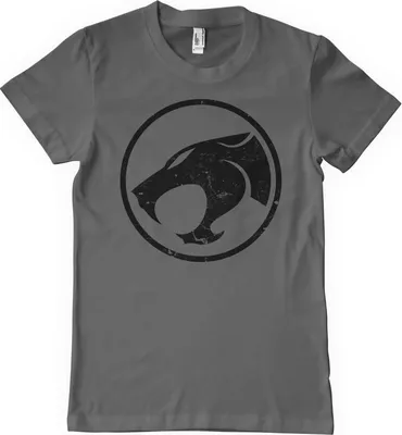 Produktbild von Thundercats Washed Logo T-Shirt - Large - DarkGrey