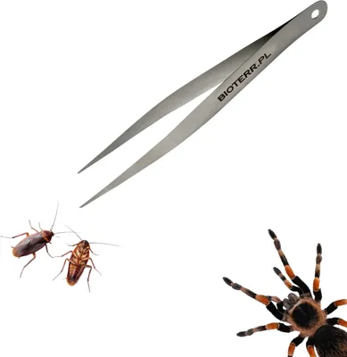 Obrázok produktu pre BioTweezer Mäkká rovná Mäkká rovná pinzeta 12 cm