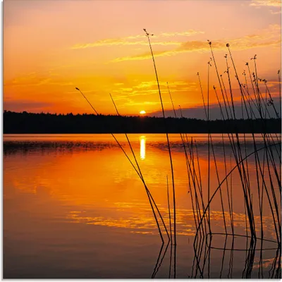 Produktbild von ARTland Glasbild Landschaft mit Sonnenaufgang Größe: 40x40 cm