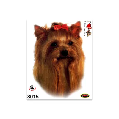 Immagine prodotto di Adesivo Yorkshire Terrier 14 x 16 cm