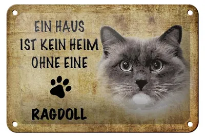 Produktbild von Blechschild Spruch 18x12cm Ragdoll Katze ohne kein Heim