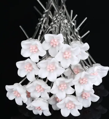 Immagine prodotto di Forcina per capelli LI-27531 - Bianco KP27531