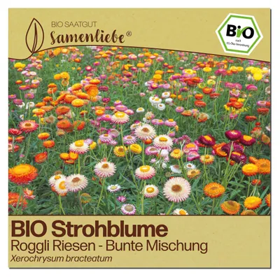 Produktbild von Samenliebe  Strohblume Samen | Roggli Riesen - bunt - samenfestes  Saatgut