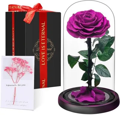 Produktbild von Premium-Ewige Rose im Glas mit Geschenkbox | Echte, konservierte Blume, handgefertigt über 5 Jahre | Einzigartiges Geschenk für Mutter, Oma als Zeichen der Wertschätzung