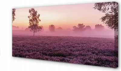 Produktbild von Leinwanddruck Heidekrautfeld 100x50 cm