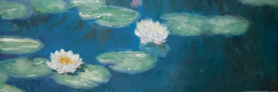 Obrázek produktu pro Claude Monet art print obrázek - Lekníny, Nymfea, 1898 (30 x 91 cm)
