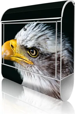 Produktbild von banjado Design Briefkasten Stahl weiß mit Zeitungsfach pulverbeschichtet "Weißkopfseeadler" 38x46x12,5cm & 2 Schlüssel - Postkasten A4 Einwurf inkl. Montagematerial [BKW 12986]