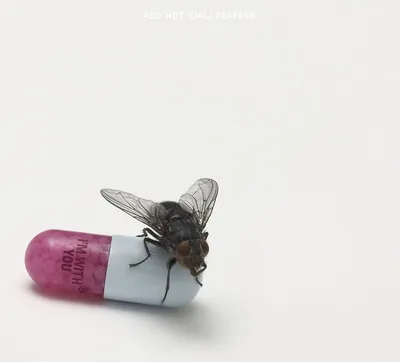 Obrázek produktu pro Red Hot Chili Peppers: I'm With You