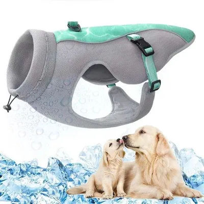 Produktbild von Famanu Hundekühlweste - Reflektierend, mit verstellbaren Riemen