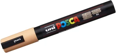 Zdjęcie produktu dla POSCA - POSCA PC5M M Salmon Pink | 1 sztuka | 6 sztuk