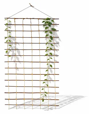 Produktbild von Floranica Rankhilfe 150 x 100cm Rankgitter Ranknetz aus Ökologische Weide für den Garten Balkon und Terrasse