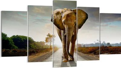Produktbild von Bild auf Leinwand - Leinwandbild - Elefant Straße Landschaft - 160x85cm - Wand Bild - Wanddeko - Leinwanddruck - Bilder - Kunstdruck - Wanddekoration - Leinwand bilder - Wandkunst - EA160x85-0214