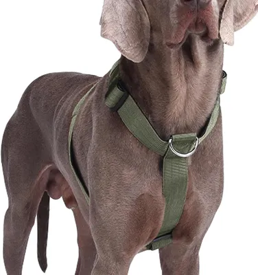 Productafbeelding van Anti-Trek Hondentuig voor Grote Honden