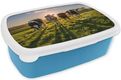 Produktbild von KitchenYeah® Lunchbox Brotzeit Brotdose 17x11 cm Kühe - Sonne - Gras - Tiere - Bauernhof Kinder Brotzeitdose - Lunch - Kunststoff  - Brotbüchse - Sandwichbox - Lunchbox für Kinder