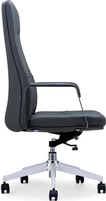 Produktbild von Leder-Sessel in Schwarz modern eleganter Stil