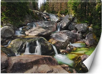 Zdjęcie produktu dla Fototapeta filzelinowa Górski potok natura 350x245 cm Feeby Zielony klej w zestawie  łatwa w montażu