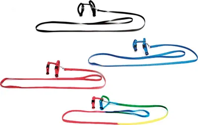 Produktbild von Karlie Art Sportiv Plus Kaninchengeschirr und -leine
