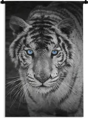 Produktbild von MuchoWow® Wandteppich Wandbehang Tiere - Tiger - Schwarz und weiß - Augen - Blau 90x135 cm Tapisserie Dekoration Wandtuch - Baumwolle - Wandskulptur