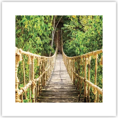 Produktbild von Poster - Poster ohne Rahmen - Brücke Seil Dschungel - 30x30 cm - Wand Bild - Wanddeko - Wandbilder - Kunstposter - Wandposter - Bilder - Kunstdruck - Wanddekoration - Wandbild - P2XAC30x30-4319